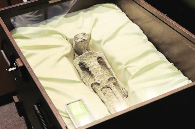 Was This Alien Life A Hoax The Truth About The Arsenic Life Paper - a66kync