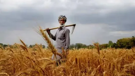 agriculture