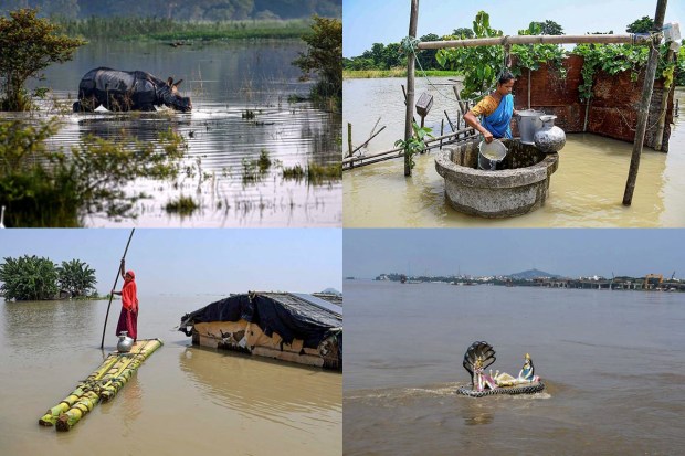 The picture coming out of Assam remained grim as an official bulletin by the Assam State Disaster Management Authority (ASDMA) revealed that over four lakh people have been affected by the floods that have become the bane of people's lives. A fresh fatality was reported as Brahmaputra's water level remained a cause of concern in several areas on Thursday. As per the bulletin, the river was above the danger mark at Dhubri, Goalpara, Guwahati, Tezpur and Nematighat.Take a look at how the floods in Assam has hit people's livelihoods.