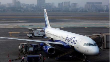 Indigo