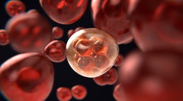 Liver cancer, liver cancer cancer treatment, oncology, immunotherapy, healthcare news, pharma news,