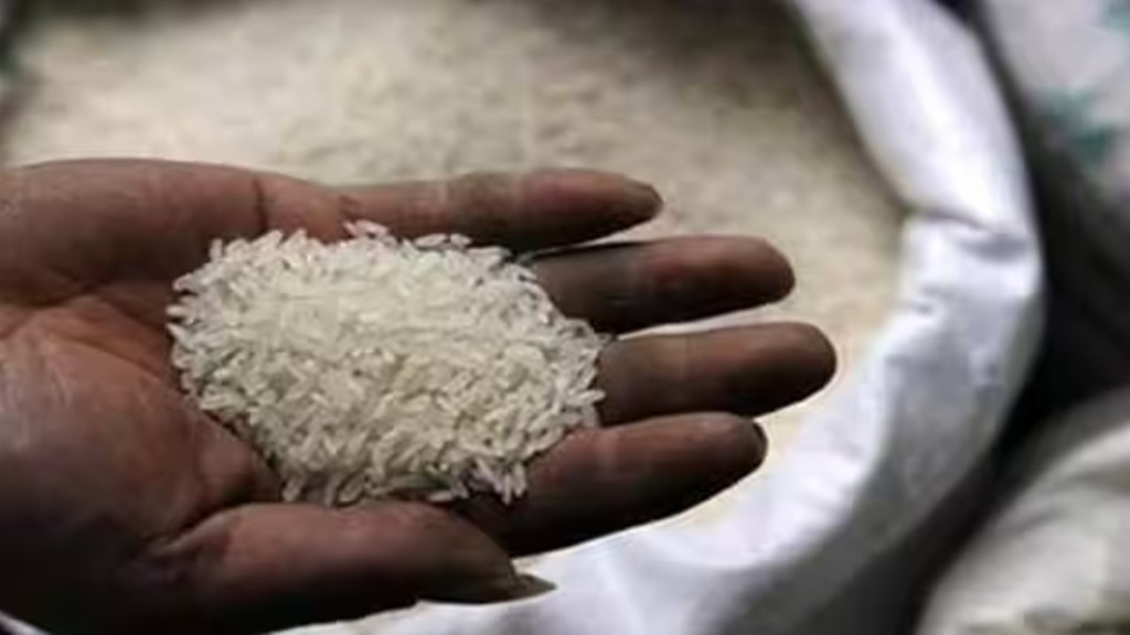 rice exports, export ban, price hike, rice prices, domestic prices, cereal inflation, food security, paddy crops, El Nino, food price volatility, trade control