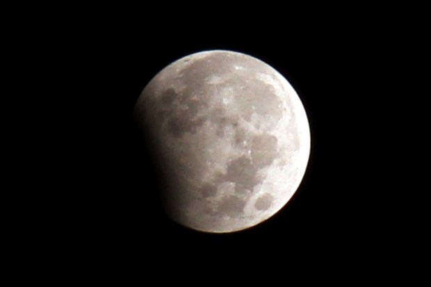 Lunar Eclipse 2023: Cosmic wonder captured! See stunning visuals of
