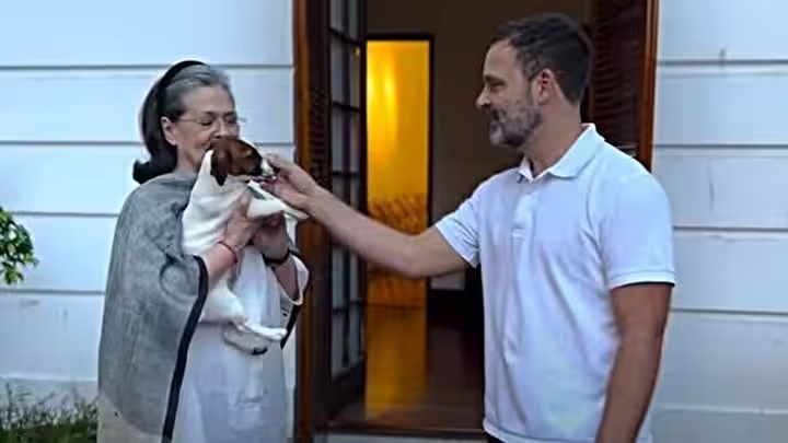 AIMIM leader moves court against Rahul Gandhi, opposes his pet's name ‘Noorie’