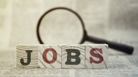 number of new jobs created in FY20-FY23, jobs creation in india, jobs in india, jobs, jobs news