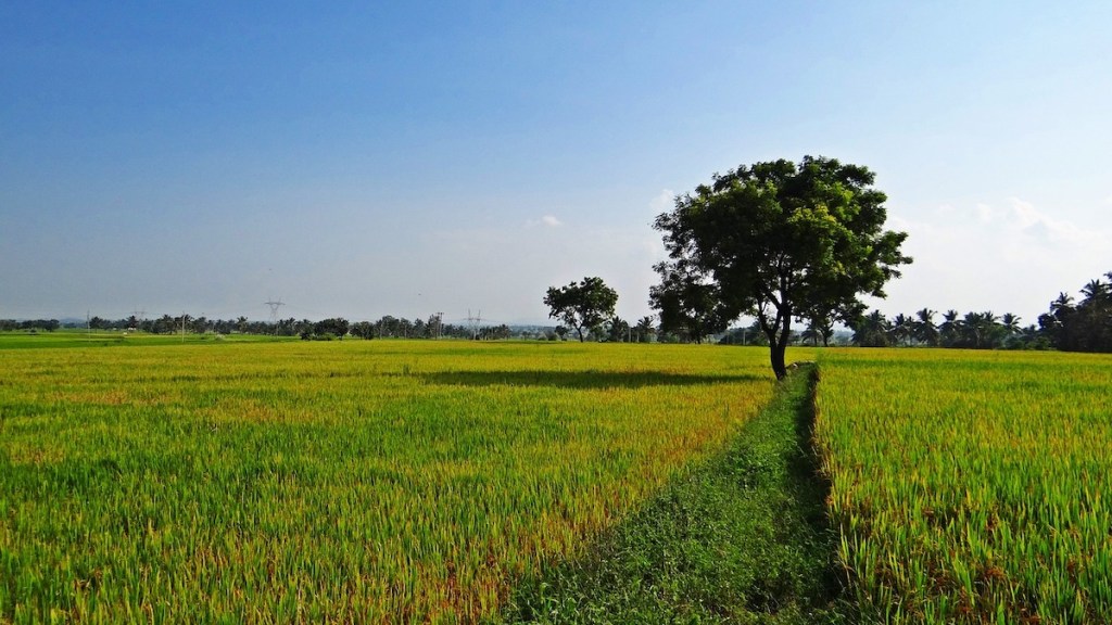 tax on land acquired by govt