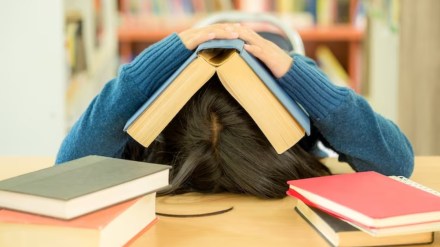 cat 2023, cat answer key, cat 2023 answer key, cat 2023 slot 1 answer key, calculate cat marks, calculate cat percentile