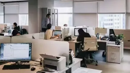 GCCs, Grade A office space, leasing, foreign origin companies, commercial real estate, economic resilience, domestic demand, flex spaces, BFSI, engineering & manufacturing firms