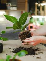 Waste to wealth: 10 business ideas contributing to environmental sustainability eco-friendly business ideas, zero pollution, steps to turn environment friendly, sustainable business, green practices for business, strategies to go carbon neutral for business, recycling business, e-waste management