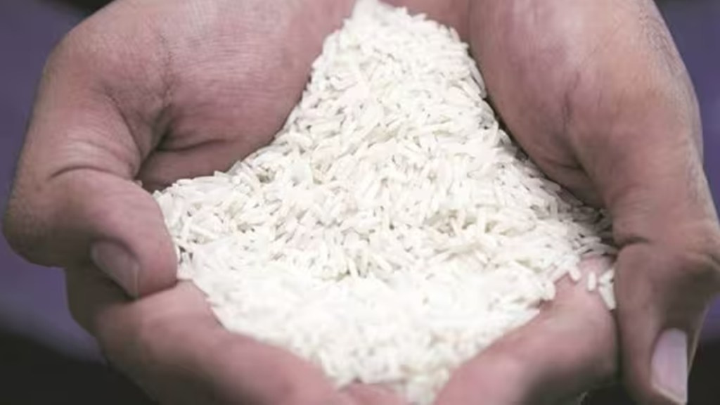 rice
