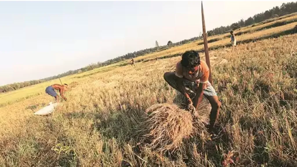 Skymet, IMD, monsoon, monsoon prediction, crop, rainfall, inflation, food inflation, rabi production, El Nino, La Nina