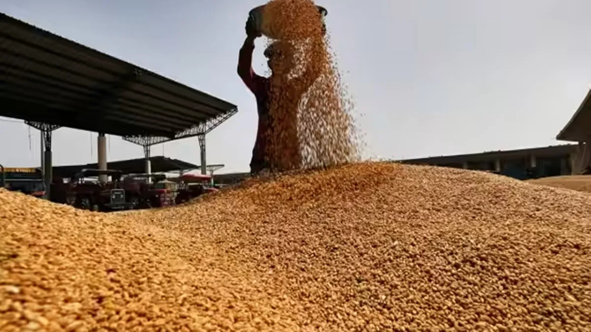 Four pollbound states key contributors to grain stocks Economy News The Financial Express