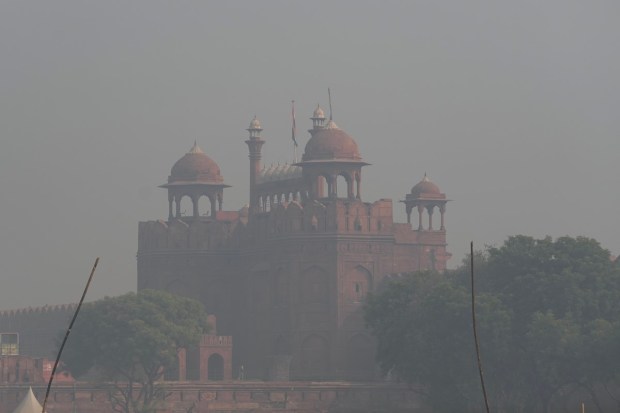 Punjab alone reported 3,230 incidents of stubble burning, the state's highest in a day so far this season, according to Punjab Remote Sensing Centre data. The Commission for Air Quality Management (CAQM), a statutory body responsible for formulating strategies to combat pollution in the region, asked Delhi and NCR states to order a ban on construction work related to linear public projects and allow 50 per cent of the staff in government and private offices to work from home.(PTI photo)