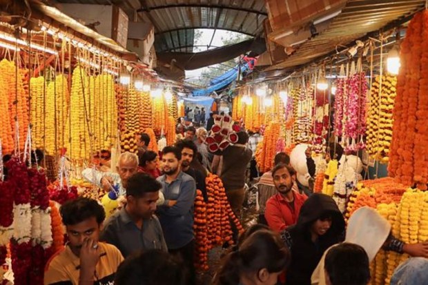 People visit Ghazipur flower market ahead of the Diwali festival in New Delhi on November 10. (Image: PTI)