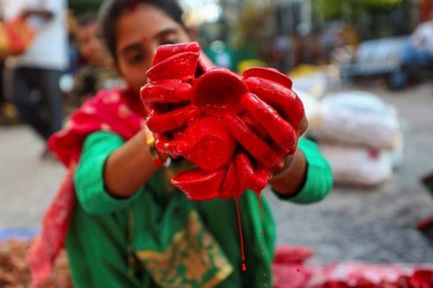 A woman colours earthen lamps (diya) on the eve of the Diwali festival at a market in Jammu on November 11. (Image: PTI)