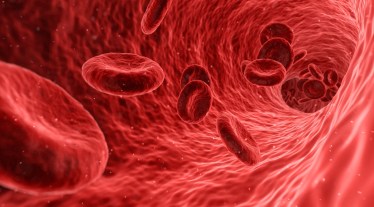 Verve, gene therapy, cardiovascular diseases, healthcare news,