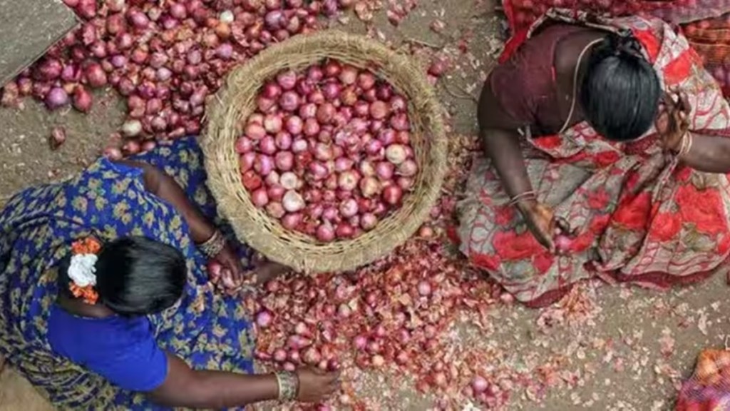 Onion, onion sale, India onion sale, onion news, onion prices in India