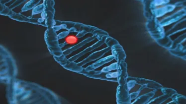 Kintree, Mapmygenome, DNA test, ancestry, healthcare news, pharma news,