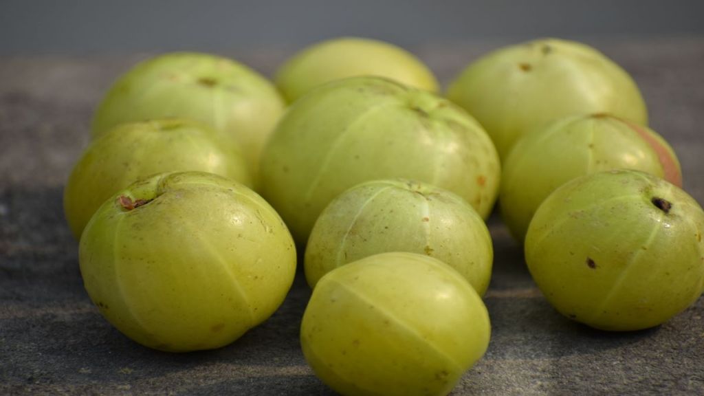 Amla season is here! Know all about its sideeffects and benefits Life News The Financial