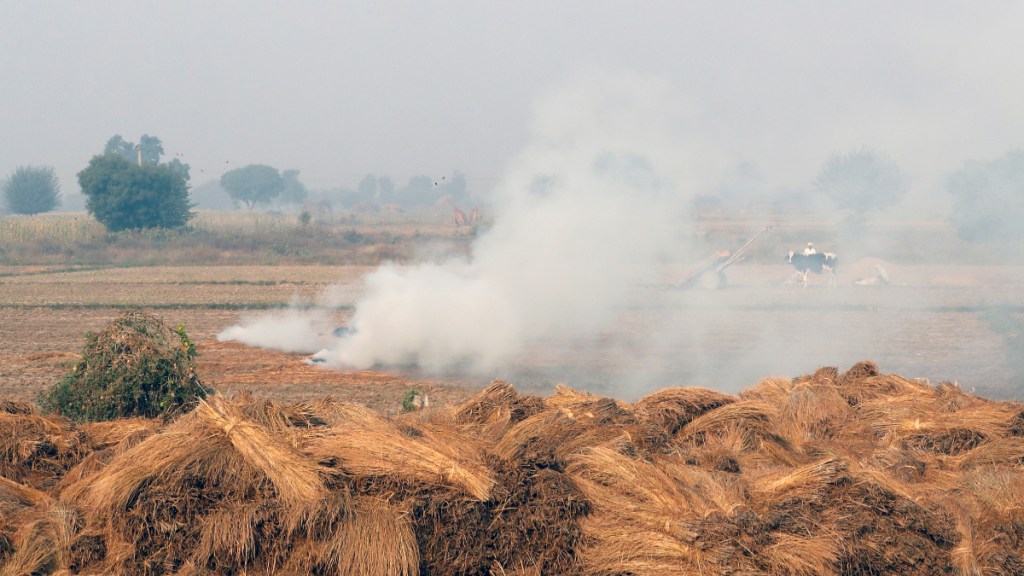Delhi, Delhi news, Delhi latest news, Delhi air pollution, Delhi air emergency, Supreme Court, Supreme Court latest news, Punjab, Punjab news, Punjab air pollution, Punjab stubble burning, Punjab farm fires, Aam Aadmi Party, Arvind Kejriwal, Bhagwant Mann