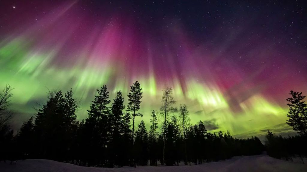 auroras, steve, picket fence