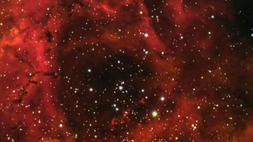 Rosette Nebula, NGC 2244, Nebulosity, Milky Way Galaxy, Rosy Cloud, Stars, Nebula Formation, Red Cloud, Hydrogen Atoms, Baby Stars, Gas Jets, Dust Clouds, Space Forces, Trunk-like Shapes, Nature's Shapes, Caldwell 49, Monoceros Region, Skull Nebula.