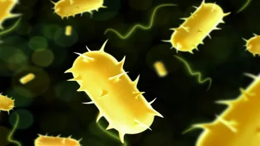 Walking Pneumonia, Pneumonia, Health Ministry, lung infection, China's respiratory illness, healthcare news,