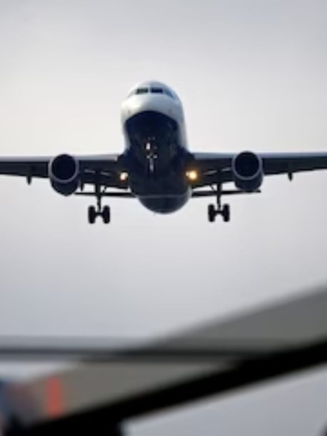 IndiGo creates history, fly 100 million passengers a year