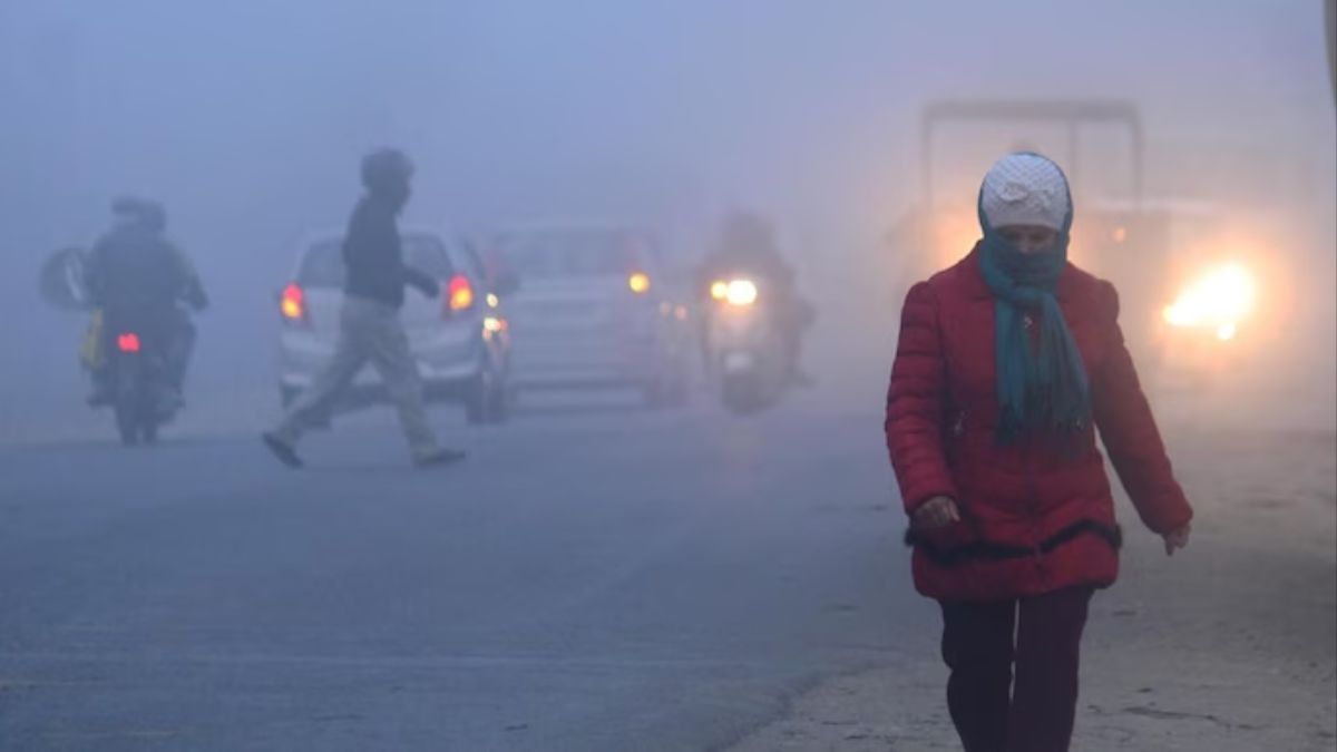 IMD Weather Update: North India grapples with bone-chilling cold and dense fog conditions - Check complete forecast here - India News | The Financial Express