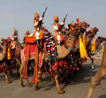 Camel mounted contingent of Border Security Force marches past during the full dress rehearsal for the Republic Day Parade 2024 at the Kartavya Path. (Ministry of Defence)