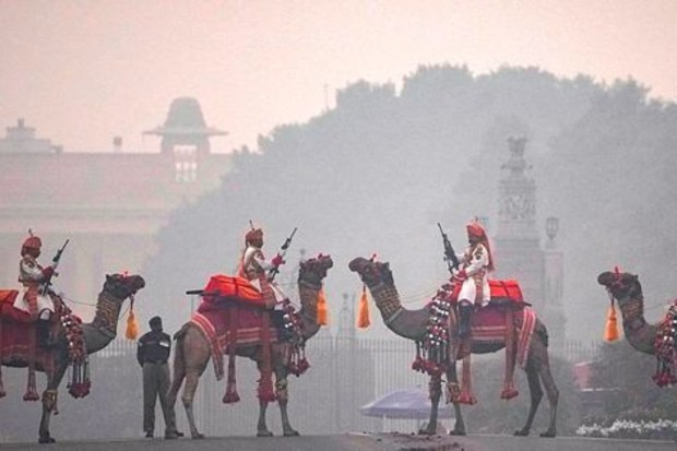 Camel mounted Border Security Force (BSF) personnel. (Image: PTI)