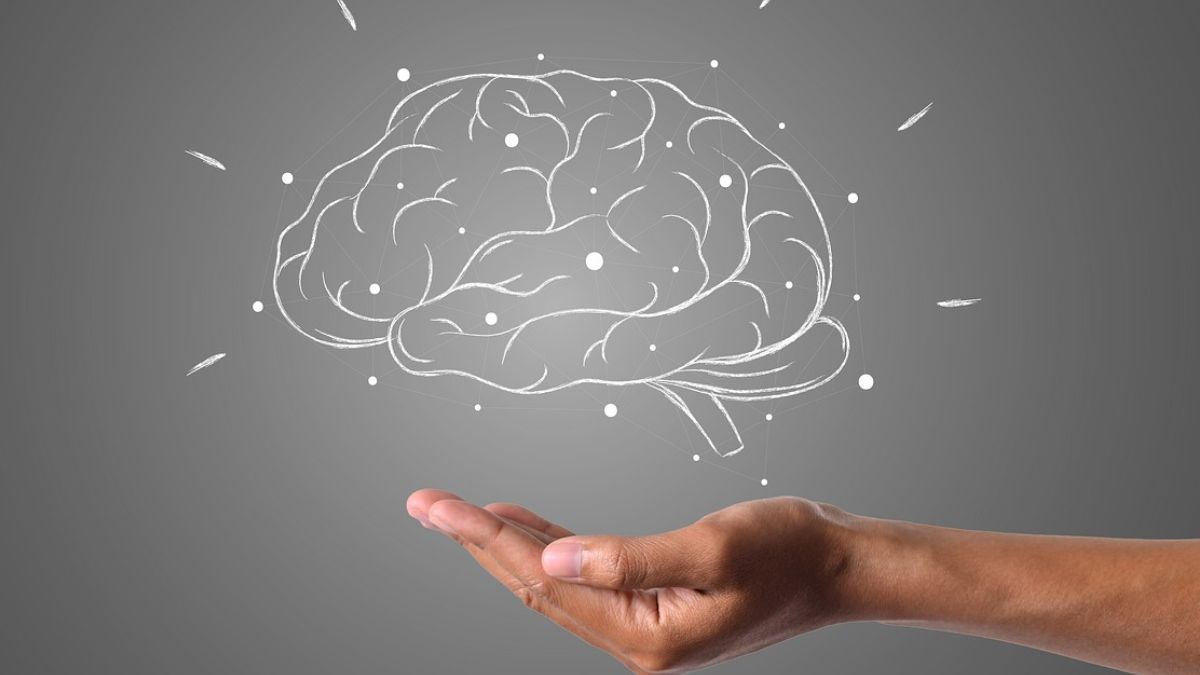 Комбинат «альфа-провиант» лого. Proviant expert. Башкирский регистр социальных карт электронный журнал. Промокод в провиант омск. Proviant expert.