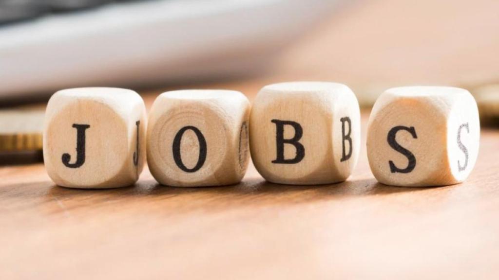 Haryana govt begins recruitment drive for over 10000 skilled