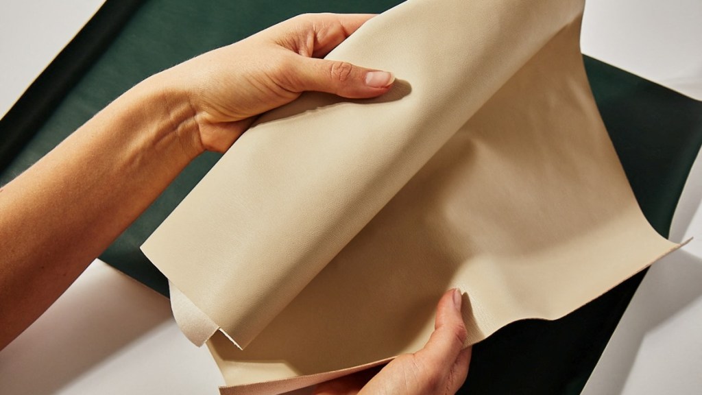 Leather Exports, Budget 2024, import duty, top news, latest news, business news,