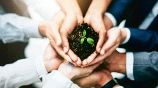 World Environment Day 2024, Environment Day 2024, World Environment Day 2024 Significance, World Environment Day History, World Environment Day 2024 Theme, World Environment Day 2024 Importance, World Environment Day 2024 Date