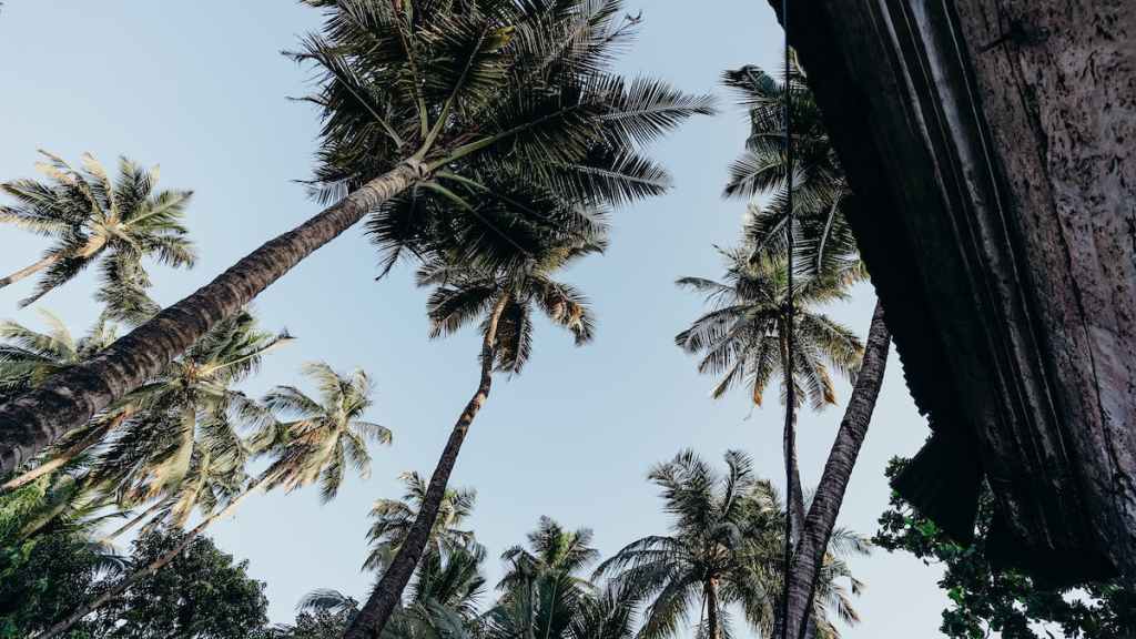 goa government, cgtmse, goa credit guarantee scheme, gcgs, msme loans, credit guarantee of msme loans, msme lenders, banks, women entrepreneurs, agniveers, sc-st entrepreneurs