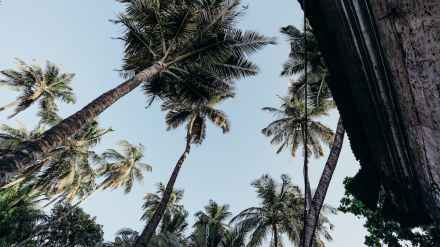goa government, cgtmse, goa credit guarantee scheme, gcgs, msme loans, credit guarantee of msme loans, msme lenders, banks, women entrepreneurs, agniveers, sc-st entrepreneurs