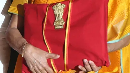 tavleen singh, interim budget, union budget, opinion