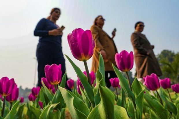 Operating from 10:00 AM to 6:00 PM daily, the festival's location is conveniently accessible by various modes of transportation, including cabs, local transport, private vehicles, and the metro. (PTI Photo)