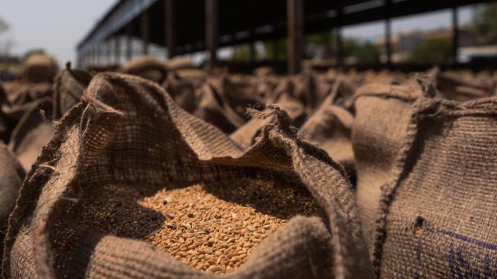 The need is to build more irrigation facilities to reduce monsoon-dependence. (Image source: Bloomberg)