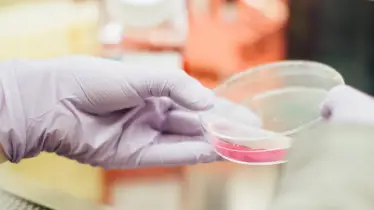 Candida Auris, Candida Auris us, Candida Auris cases, rare virus us, rare virus in washington, Candida Auris washington, rare virus