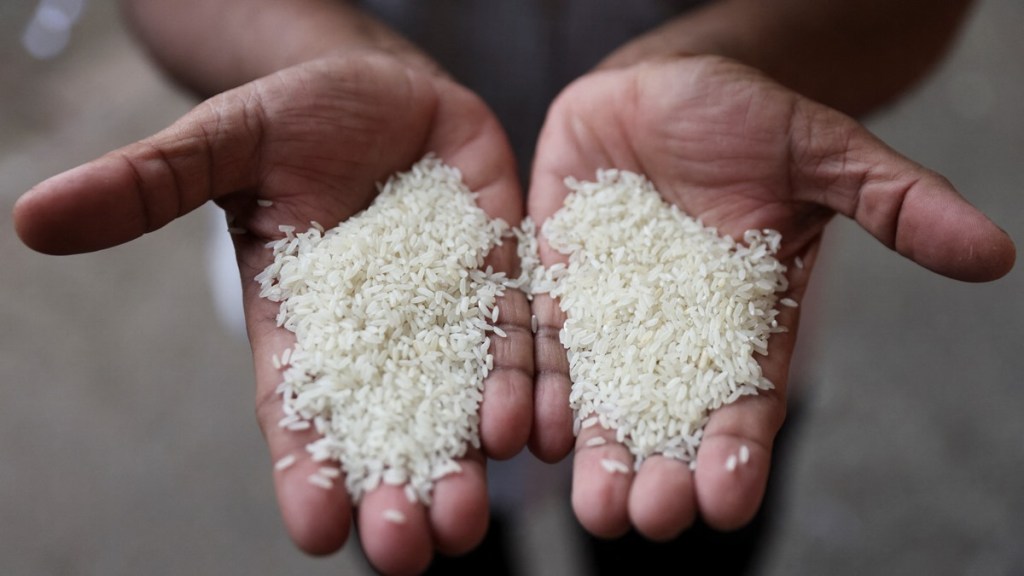 Food Corporation of India, FCI, food ministry, broken, non-basmati, parboiled, basmati, top news, latest news, economy news,