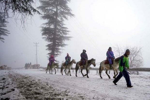 Tourists ride on horses during snowfall at Kufri, in Shimla. (PTI Photo)