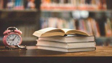 NewsBook and CricketBook, NewsBook and CricketBook review, book review