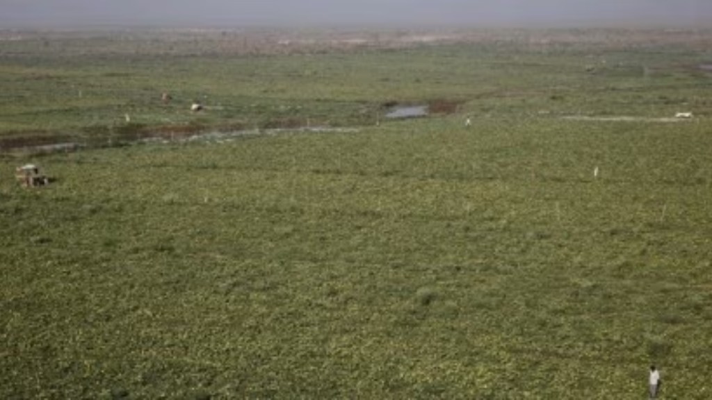 land reforms, opinion news, land reforms news, Digital Land Records Modernization Programme, Bhu-Aadhar or Unique Land Parcel Identification