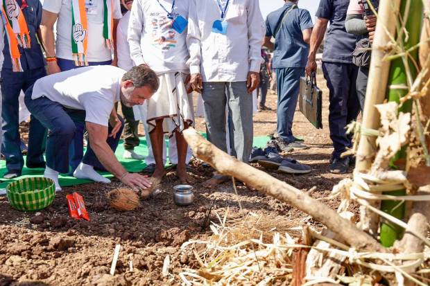 Congress leader Rahul Gandhi attends the 'Holi Samaroh' of the tribal community during the 'Bharat Jodo Nyay Yatra', in Nandurbar. (PTI Photo)
