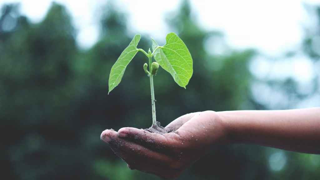 Avaana Sustainability Fund (ASF), SIDBI, climate fund, Green Climate Fund (GCF), msme, startups, sustainability