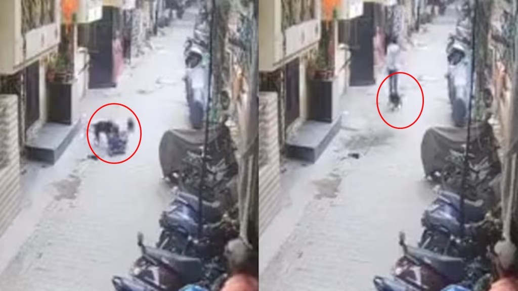 Pit bull attacks 15-year-old boy in Ghaziabad, stray dogs come to rescue | Video