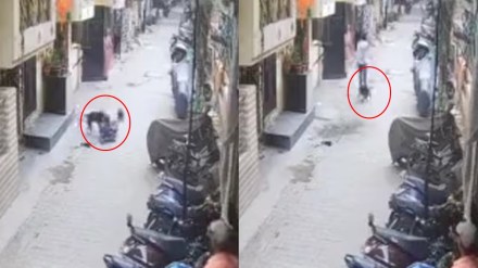 Pit bull attacks 15-year-old boy in Ghaziabad, stray dogs come to rescue | Video