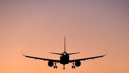 Vistara